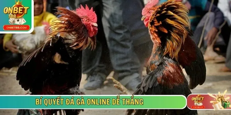Bí quyết đá gà online dễ thắng