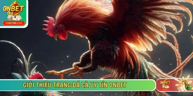 Giới thiệu trang đá gà uy tín ONBET