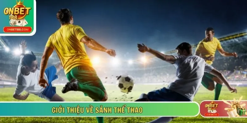 Giới thiệu về sảnh thể thao