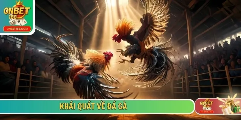 Khái quát về đá gà